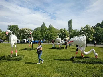 Бургас отново е столица на цветята