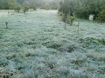 Слана като снят попари овошките