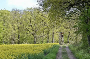 Слънчево и топло на празника