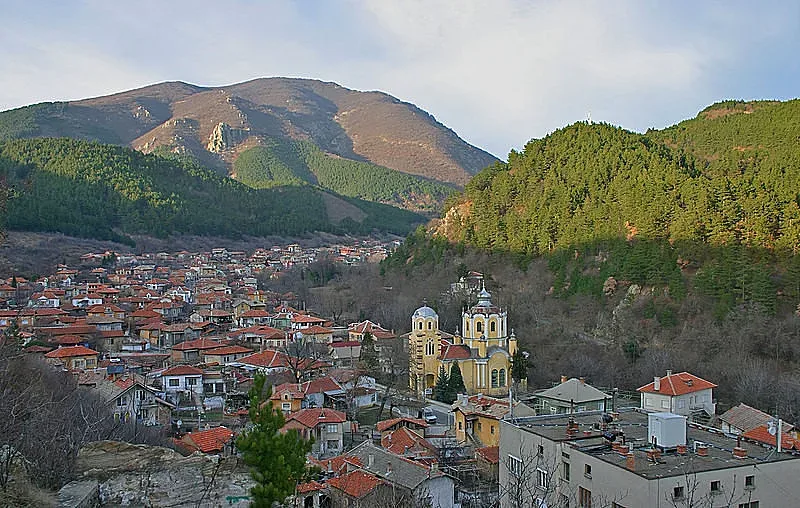 Вдигат защитна ограда в Мъглиж