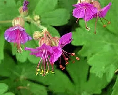 Днес е Велика сряда! Ето какво се прави