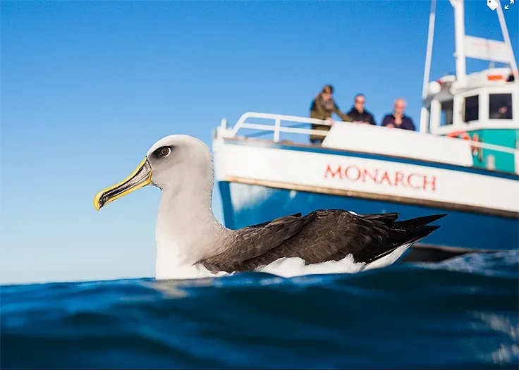 Еко проект "Сини изследователи"  безплатно за бургаските деца
