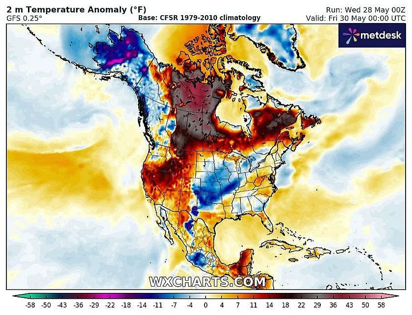 В тази страна хората полудяха от жега!