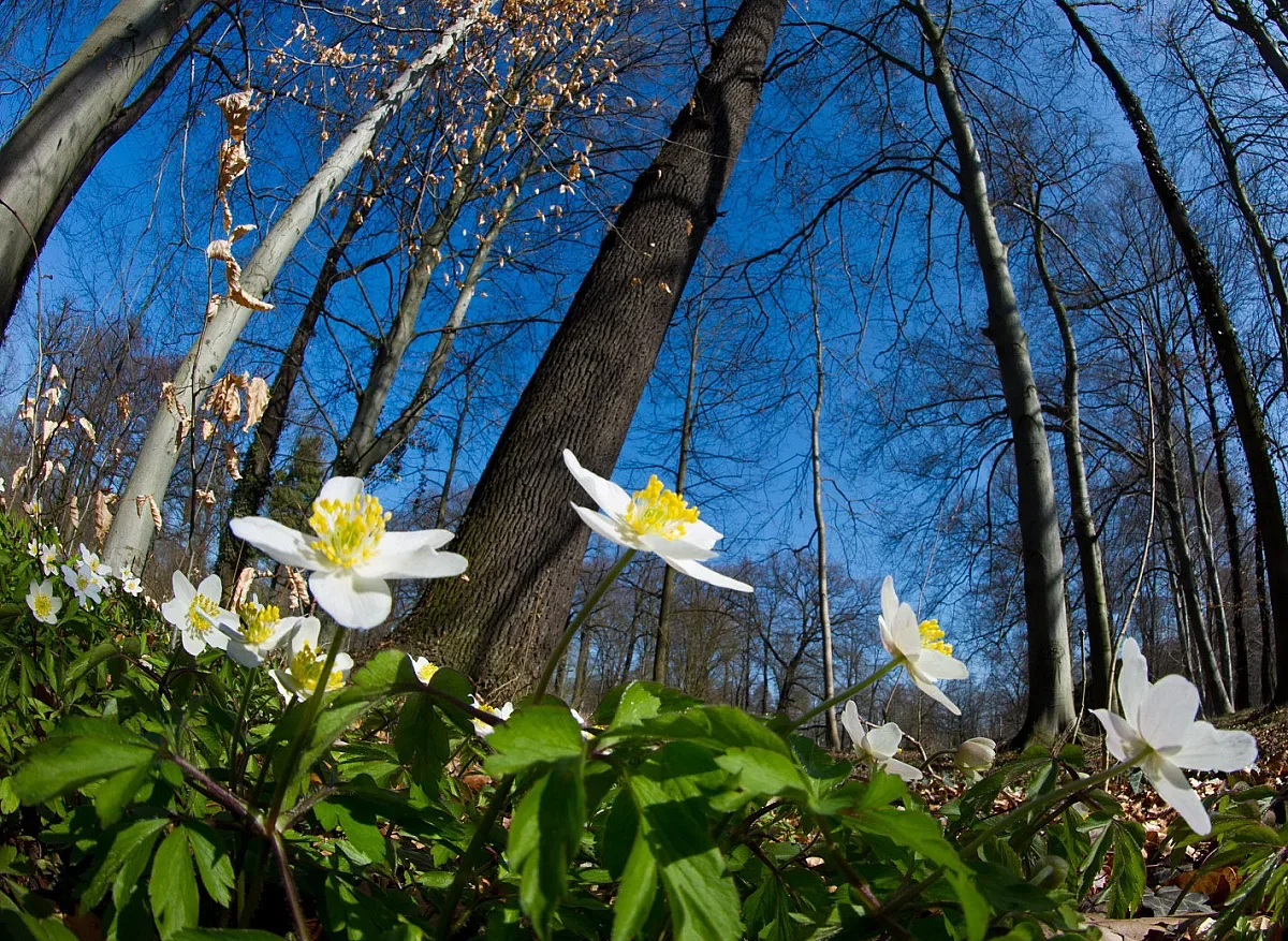 Слънчево днес, от утре пак дъжд