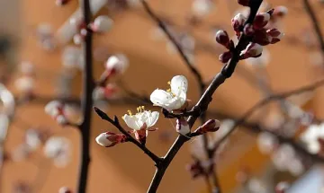 Слънчев петък, няма да вали
