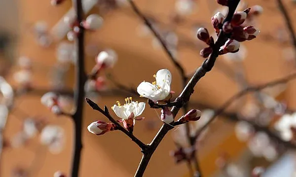 Слънчев петък, няма да вали