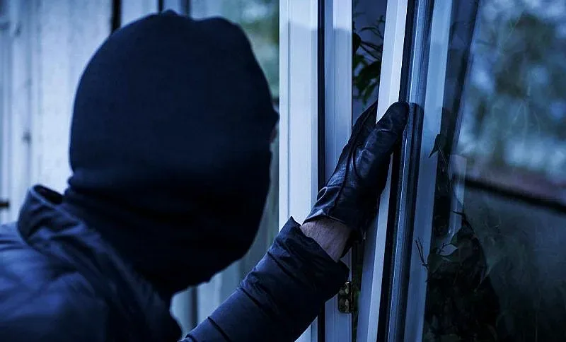 Крадци задигнаха 12 бона от баба във Врачанско