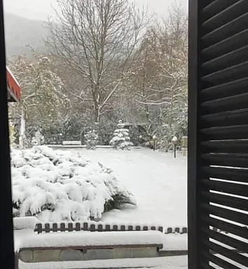 Живот ли? Ани Салич влезе във фургон