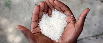 Американски учени и ООН: Идва глад и скъпи храни