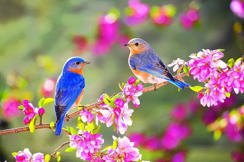 Април идва със слънце и усмивка