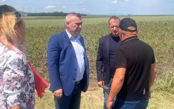Земеделският министър обеща спешни компенсации за пострадали от градушките