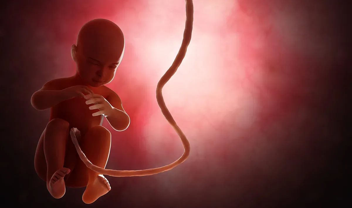 Рисковете на аборта - внимавайте