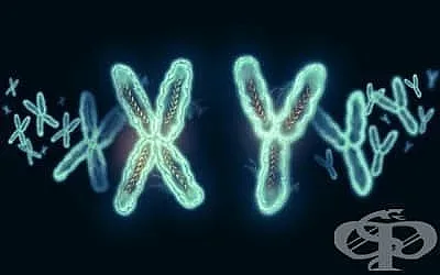 Красива китайка се оказа мъж!