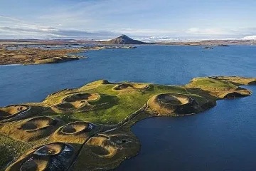 Изчезва едно от най-странните растения в света