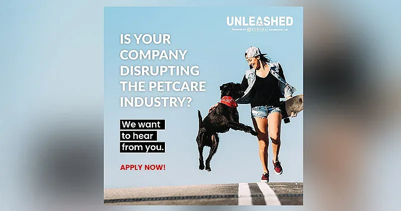 Програма насърчава "животински" стартъпи