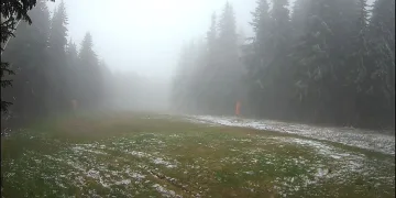 Още сняг се сипе над България! Зимата съвсем се завърна