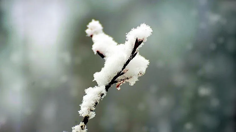 Сняг вали, за последно ли?