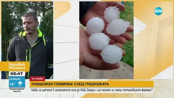 Погром! Градушката като яйце смля всичко в Ямболско