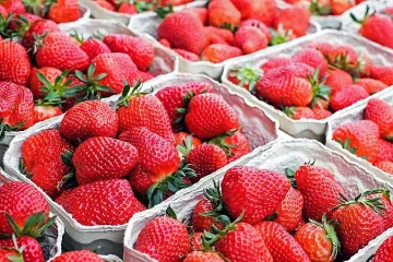 Измама с ягодите! Пробутват ни гръцки за български
