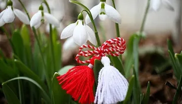 Любопитни факти за 1 март