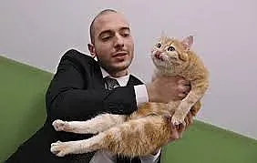 Цитиридис ходел с котката си на работа
