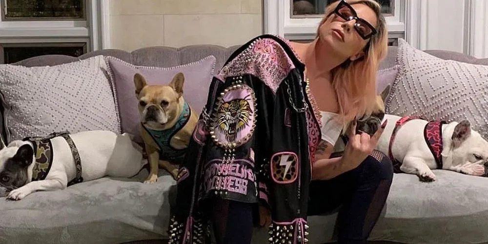 Лейди Гага щастлива. Върнаха й кучетата