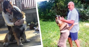 Парола Мечо vs. Борко на изборите