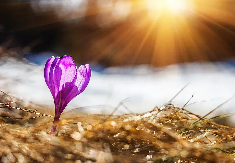 Пролет е,  температурата  до 19 градуса