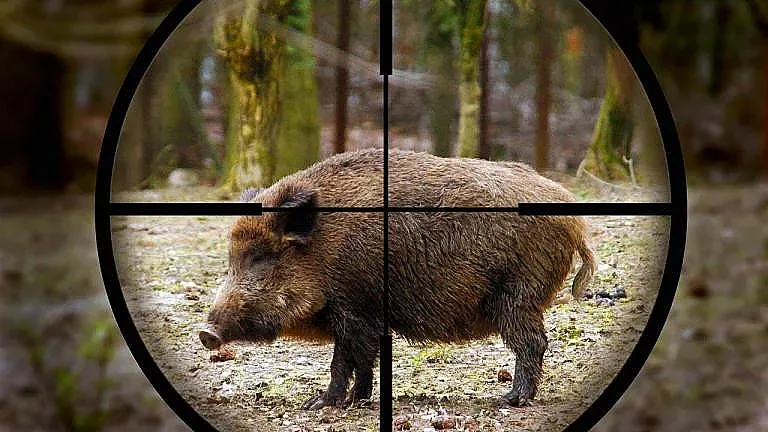 Още заразени ловци. Яли суджука от глиган