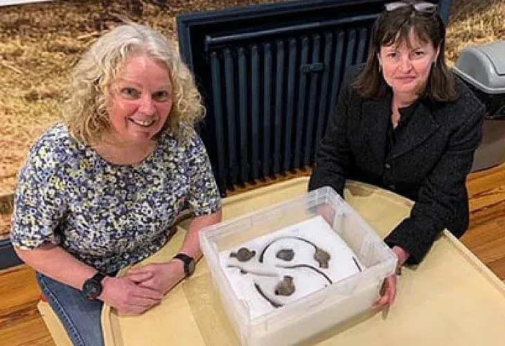 Жена намери съкровище на викинги