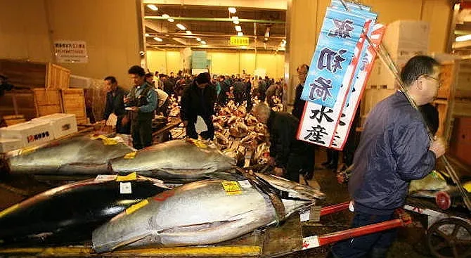 СЗО разкрива до дни откъде е тръгнал К-19