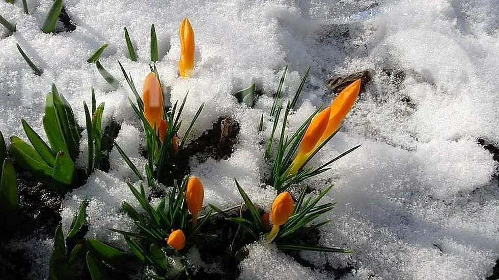 Тихо, слънчево и твърде топло