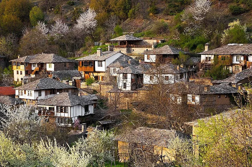 Нова мода при младите. Ето къде живеят 