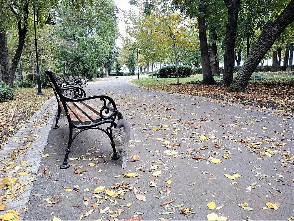 Култови цитати от BG филми ще четем това лято по бургаските пейки