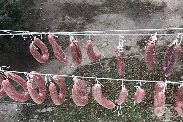 Опасни ли са домашните луканки?