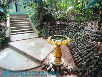 Доказано:Божественият билков сироп не спира К-19