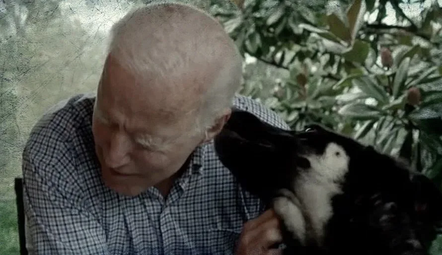 Белият дом чака кучетата на Байдън