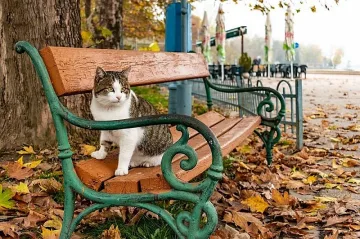 Температурите се покачват, ще има слънце