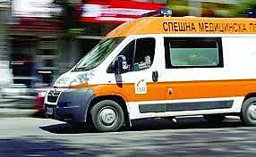Кола блъсна на зебра майка, гушнала детето си