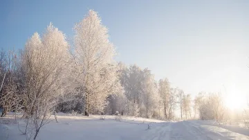 Слънчево, но много студено