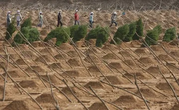 Още 14 млрд. долара за Великата зелена стена