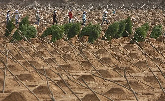Още 14 млрд. долара за Великата зелена стена