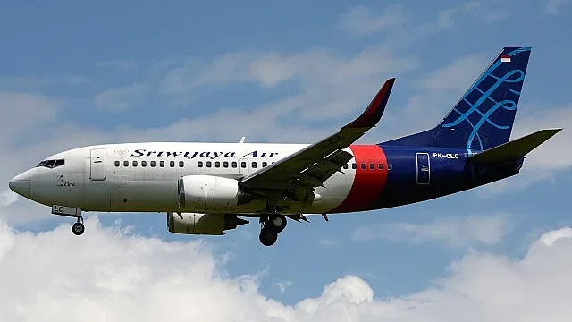 Няма чужденци в разбития самолет