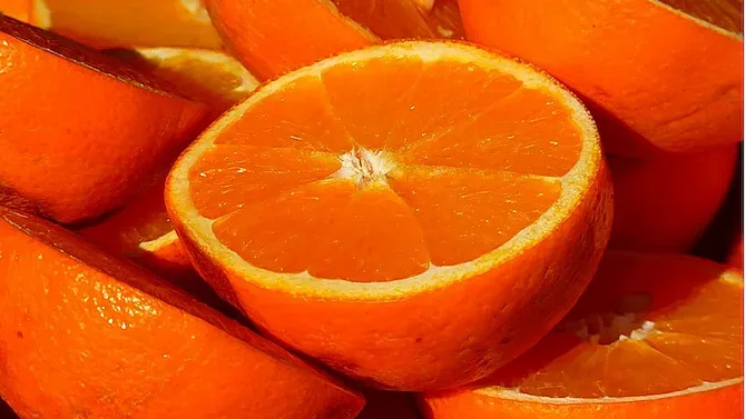 Хванаха над 300 тона опасни цитруси