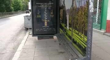 Нов удар на детска локална банда. Обсъждат мерки срещу напастта