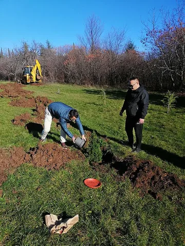 Старозагорци започнаха засаждането на живи коледни дръвчета