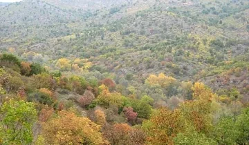 Сакар планина става защитена зона