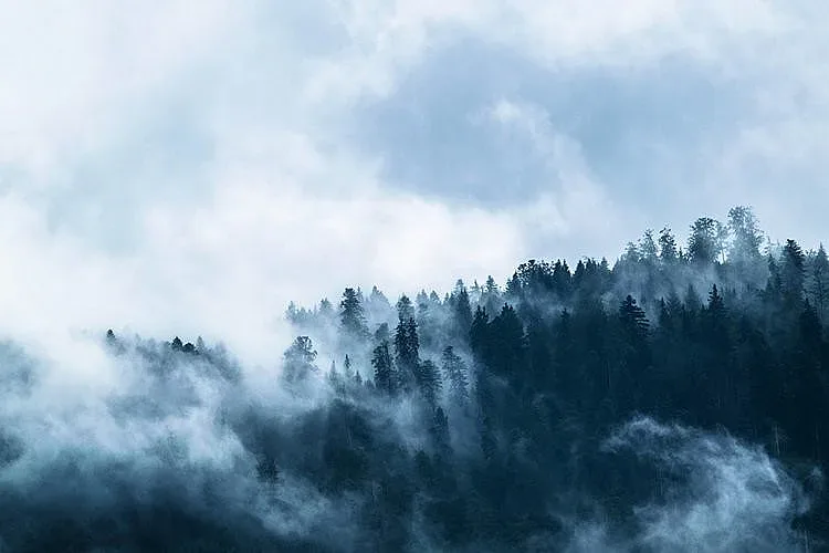 Пак мъгли и облаци. Ще има и дъжд