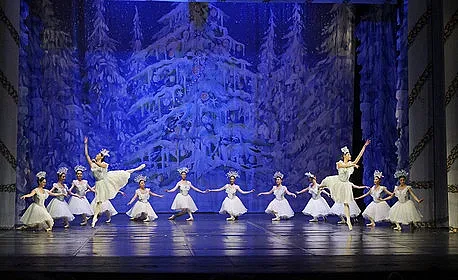 Лешникотрошачката оживява в Стара Загора