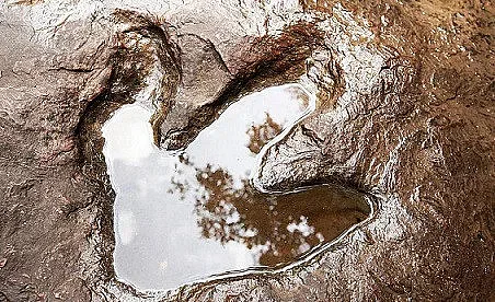 Откриха 100 отпечатъка на динозаври